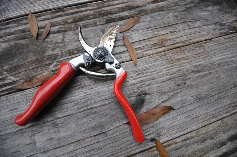 Секатор садовый Felco 7 2