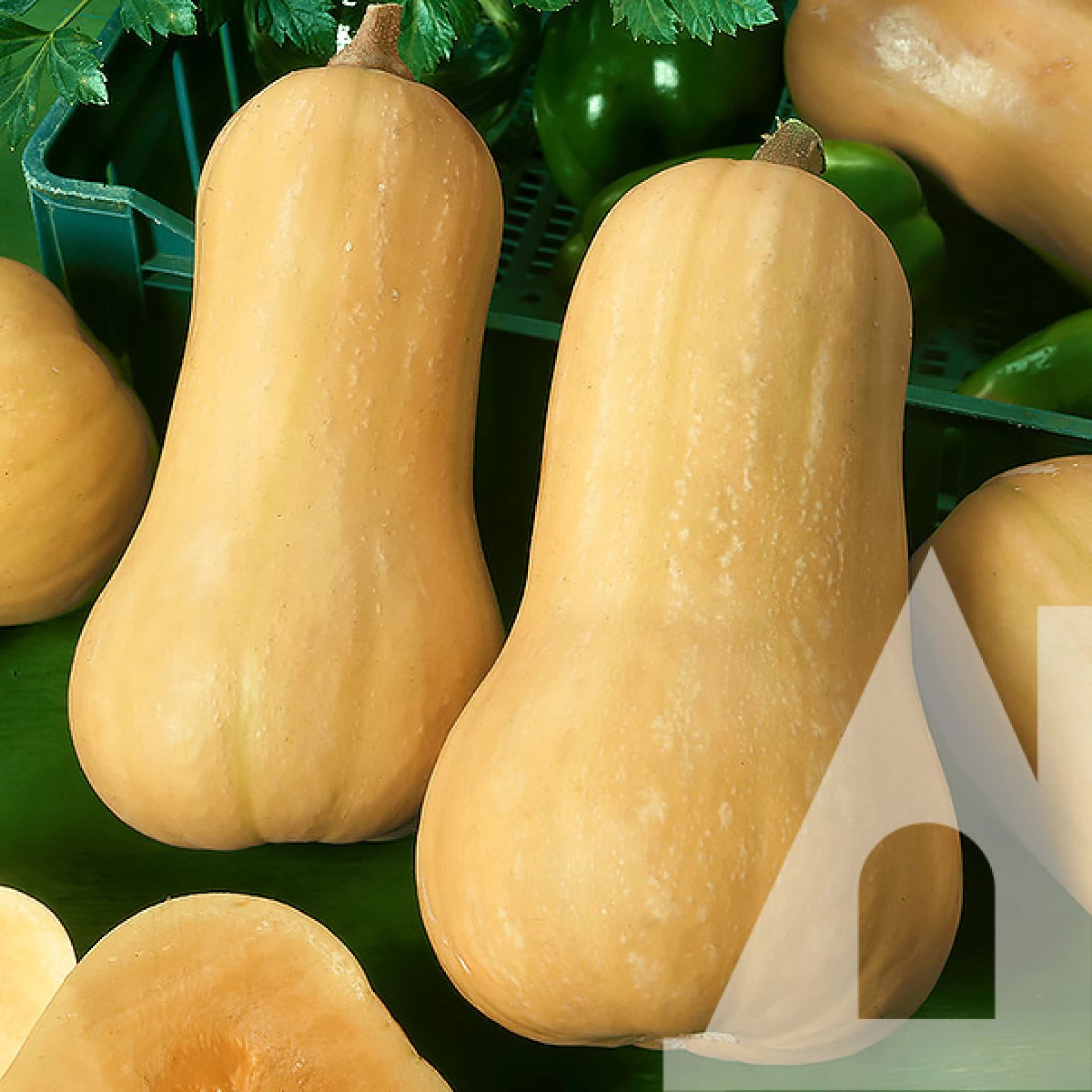 Насіння гарбуза Арахісове масло, 10г, Satimex, Німеччина, Садиба Центр 2