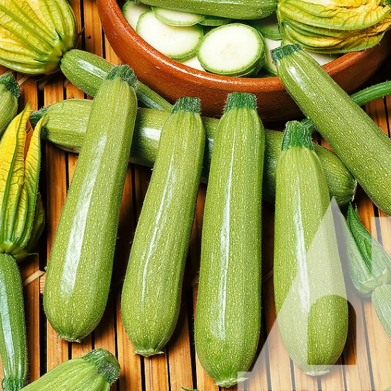 Семена кабачка Аймаран F1, 5шт, Nunhems, Голландия, семена Садиба Центр 2