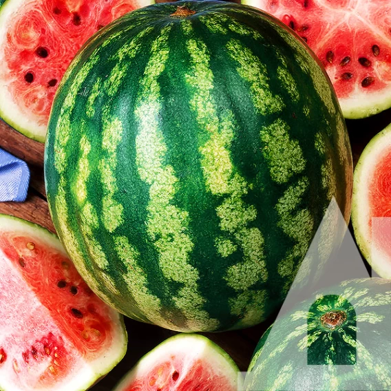 Семена арбуза Кризби F1, 8шт, Nunhems, Голландия, семена Садиба Центр 2