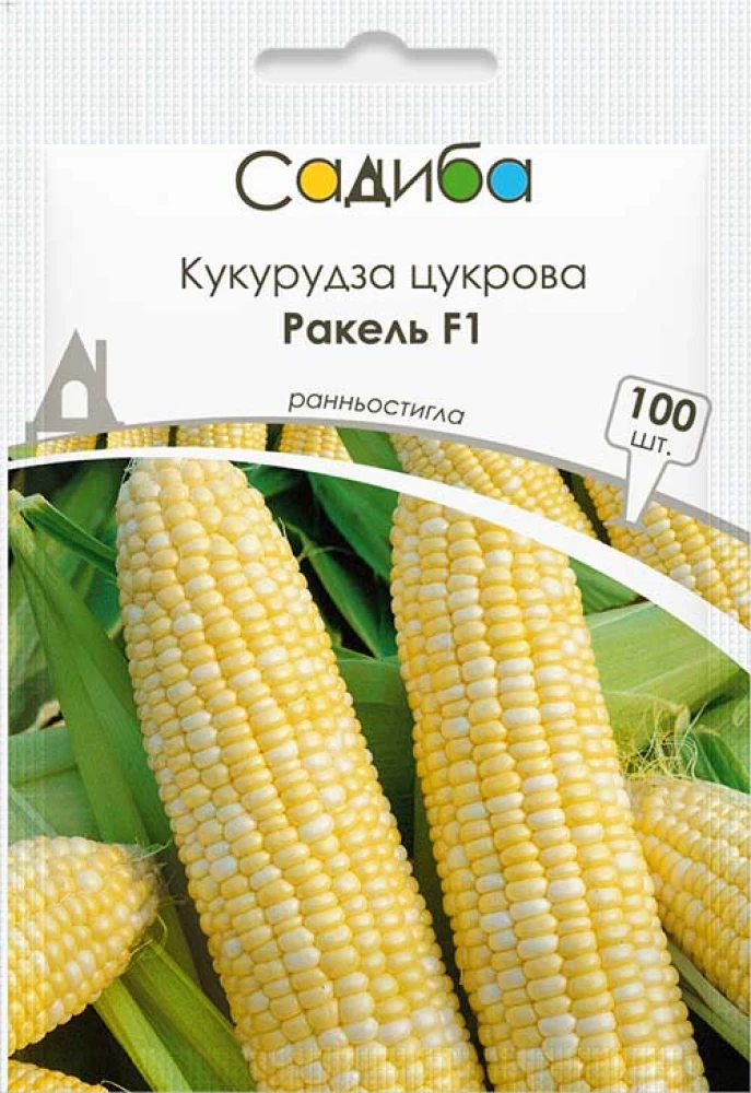 Насіння кукурудзи Ракель F1, 100 шт, Clause, Франція, насіння Садиба Центр 1