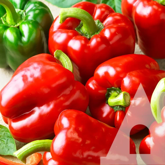 Семена перца Клаудио, 10шт, Nunhems, Голландия, семена Садиба Центр 2