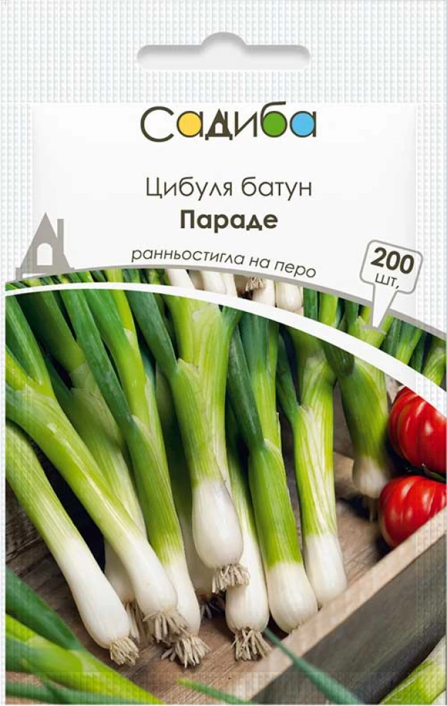 Насіння цибулі на перо Параді, 200шт, Bejo Zaden, Голландія, Садиба Центр 1