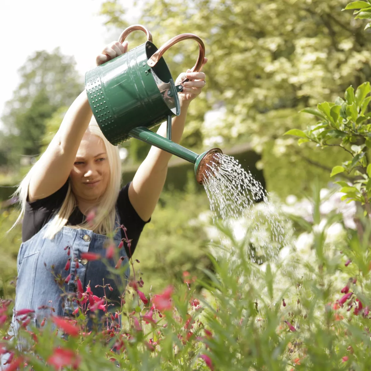 Лійка садова 4.5л, 45LWCKEW, Spear & Jackson 2