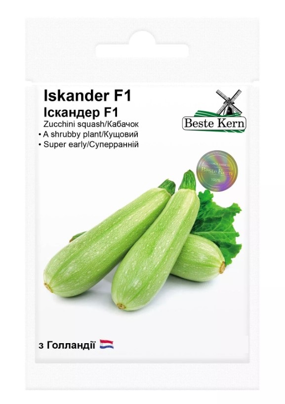 Насіння кабачка Іскандер F1, 5шт, Seminis, Голландія, Beste Kern
