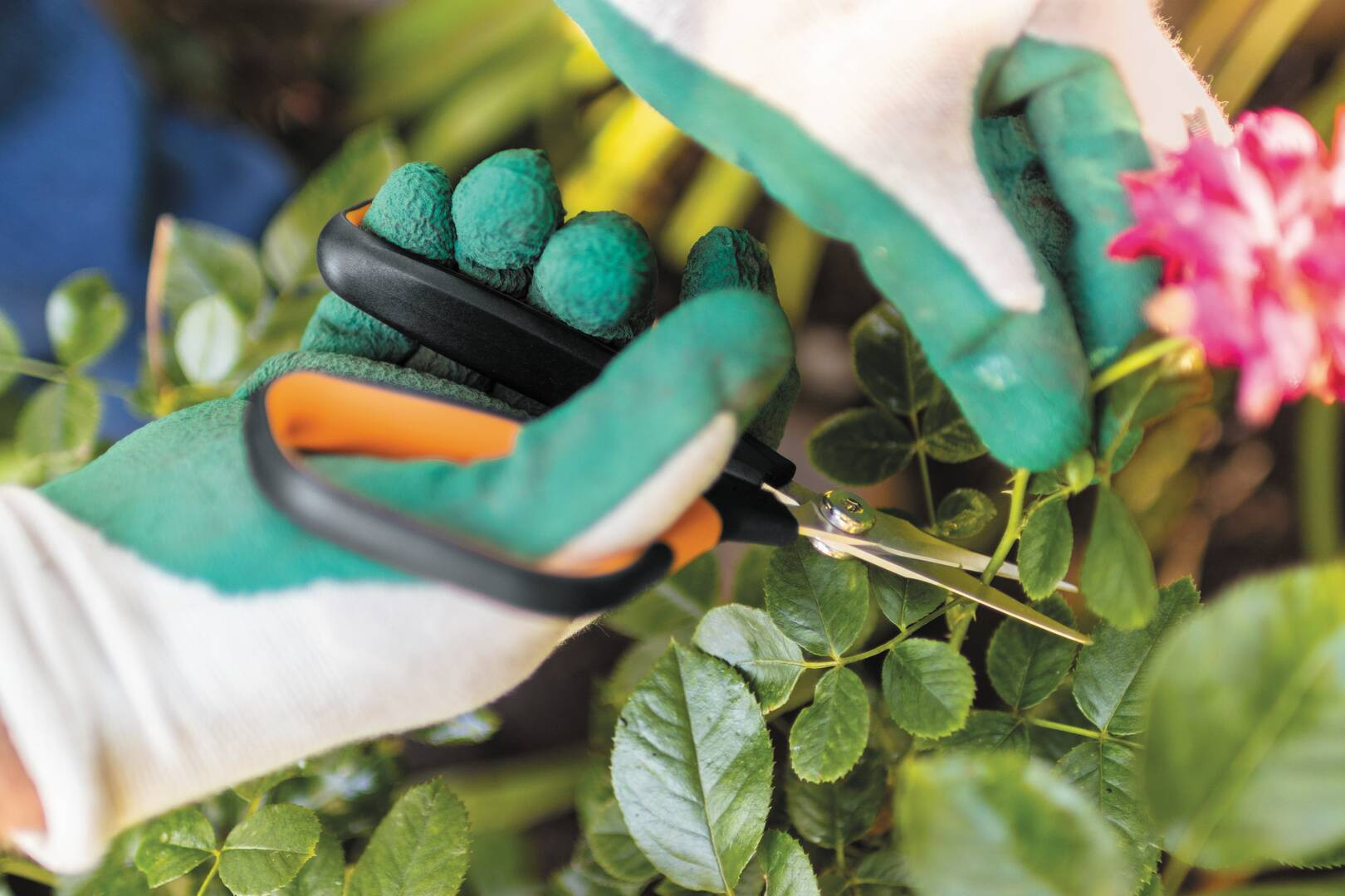 Ножниці Fiskars Solid Softgrip SP15,(1051602) 5