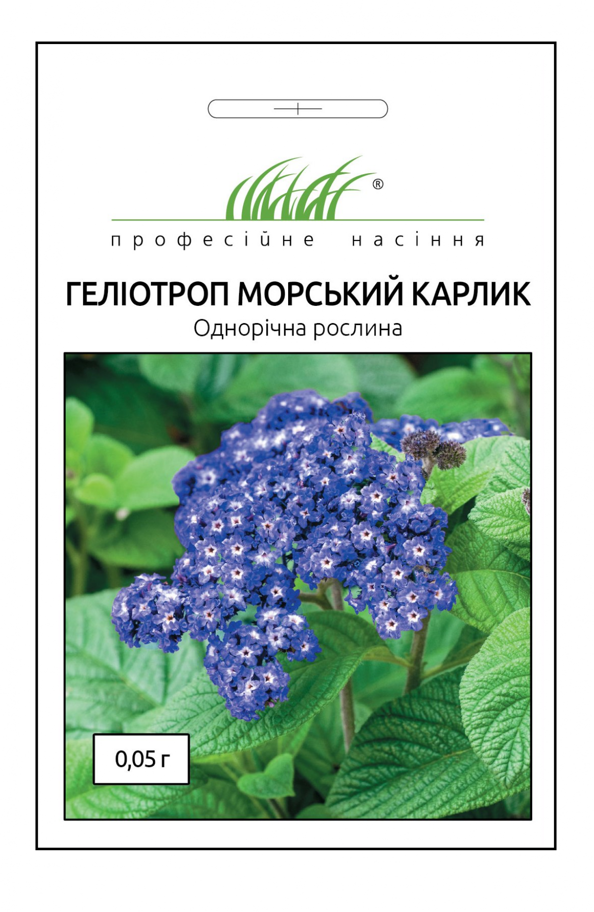 Насіння геліотропу Морський карлик, 0.05 г, Hem, Голландія, Професійне насіння