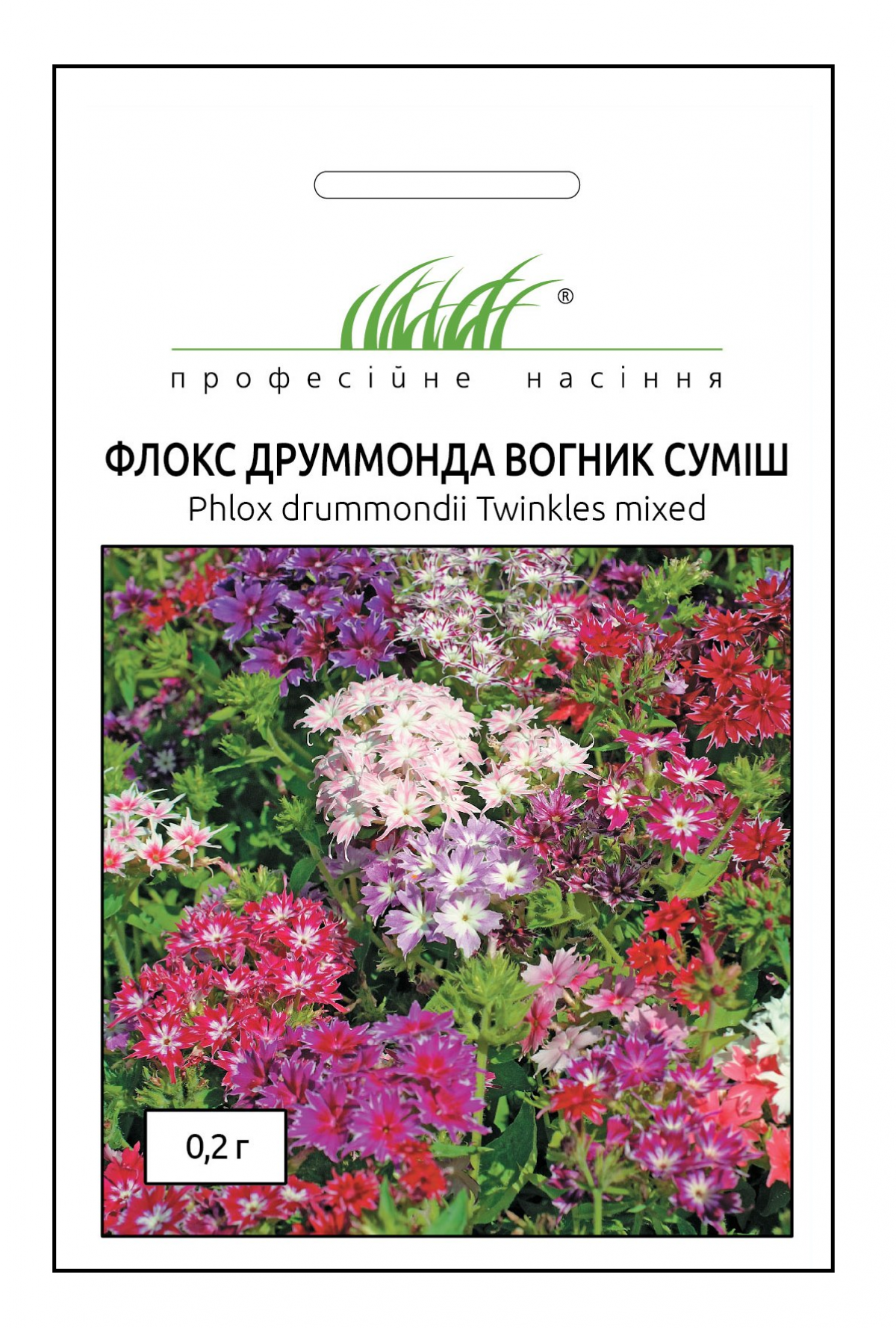 Насіння флоксу друммонді Вогник суміш, 0.2 г, Hem, Голландія, Професійне насіння