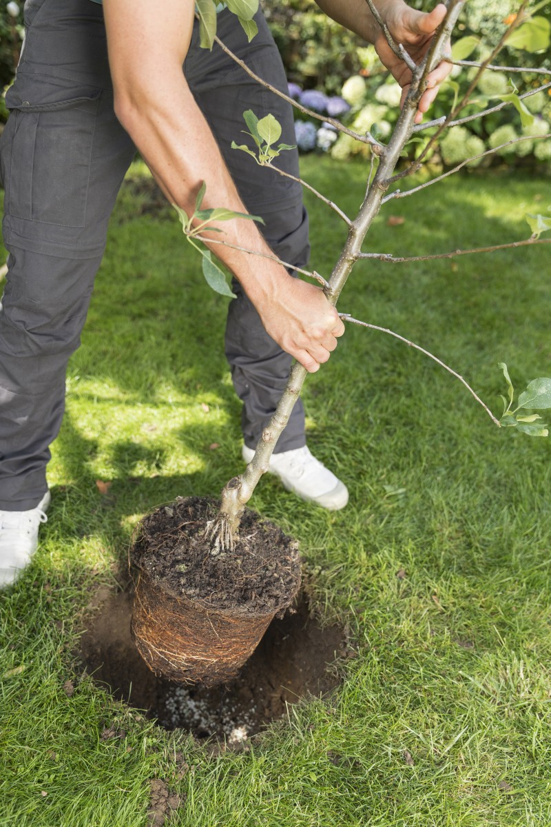 3025 Компо 5 в 1 мікс добриво тривалої дії для пересадки рослин 1,5кг 4