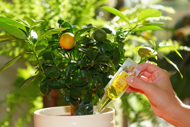 3285 Апликатор Компо Догляд для цитрусових рослин 30 мл 3