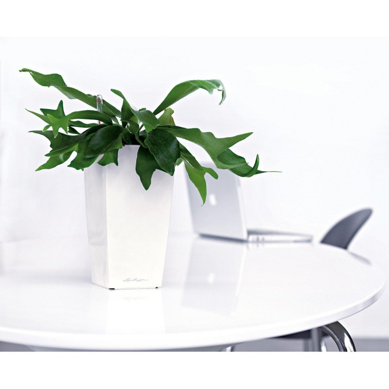 Розумний горщик Lechuza Maxi-Cubi білий, 14x14x26 см (18050) 5