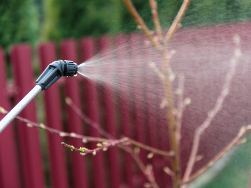 Обприскувач садовий My Garden ручний професыйний,12 л, на колесах (281-12) 4