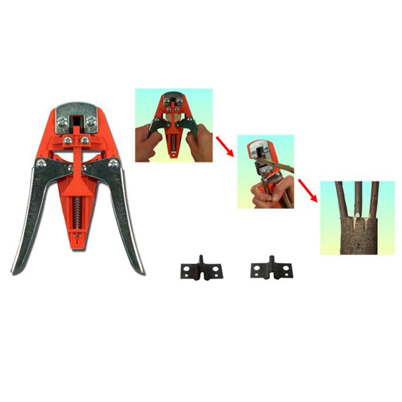 Дополнительный инструмент для прививки Artitec 1