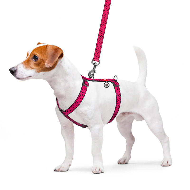 Шлея для собак анатомічна WAUDOG Nylon c QR паспортом, малюнок Кавун, 15 мм / 40-55 см, Collar (5038) 3