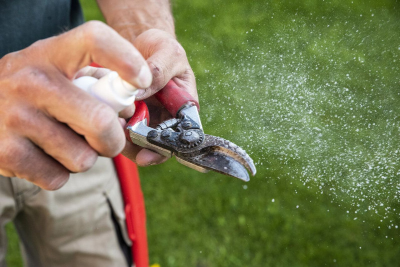 Розчинник для видалення смол Felco (981) 3