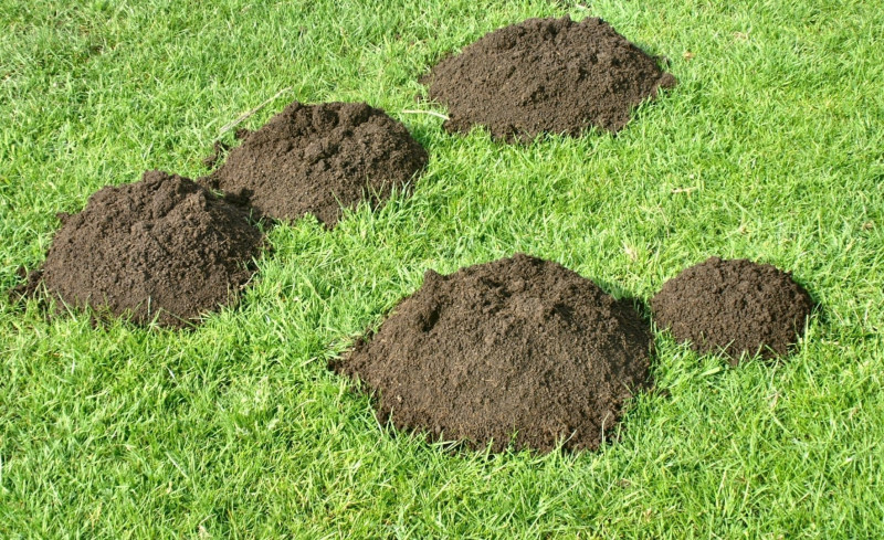 Засіб проти кротів BROS Karbidex, 500 г (Р32956) 3