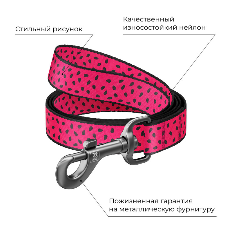 Поводок для собак Collar WAUDOG Nylon, малюнок Кавун, 15 мм/122 см (4925) 3