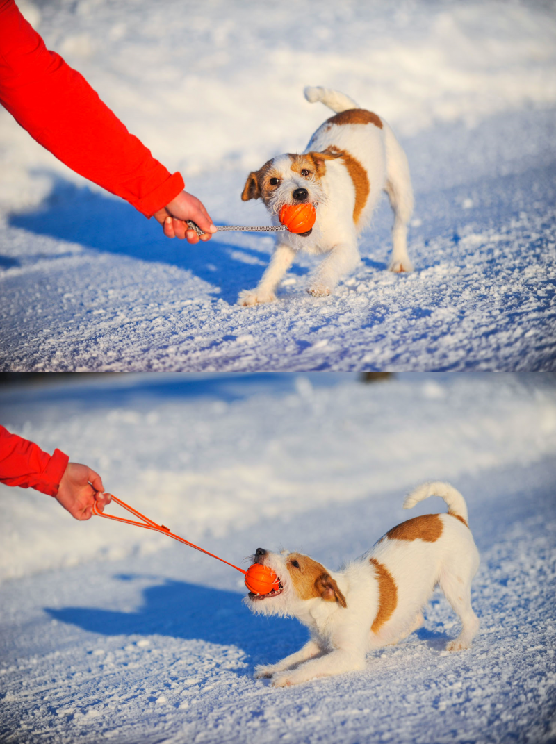 М'ячик Collar Liker Line на стрічці, діаметр 9 см (6288) 3