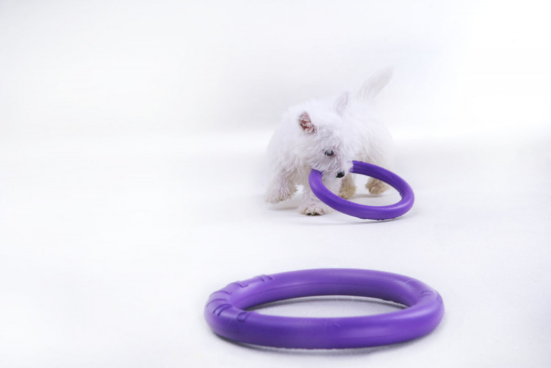 Тренувальний снаряд для собак Collar PULLER Micro, діаметр 13 см (6489) 5