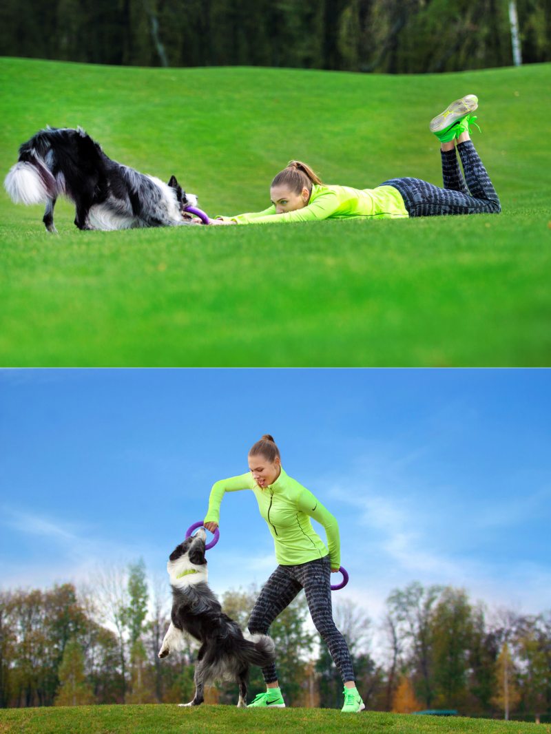 Тренировочный снаряд для собак Collar PULLER Midi, диаметр 20 см (6488) 4