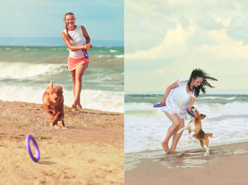 Тренировочный снаряд для собак Collar PULLER Midi, диаметр 20 см (6488) 5