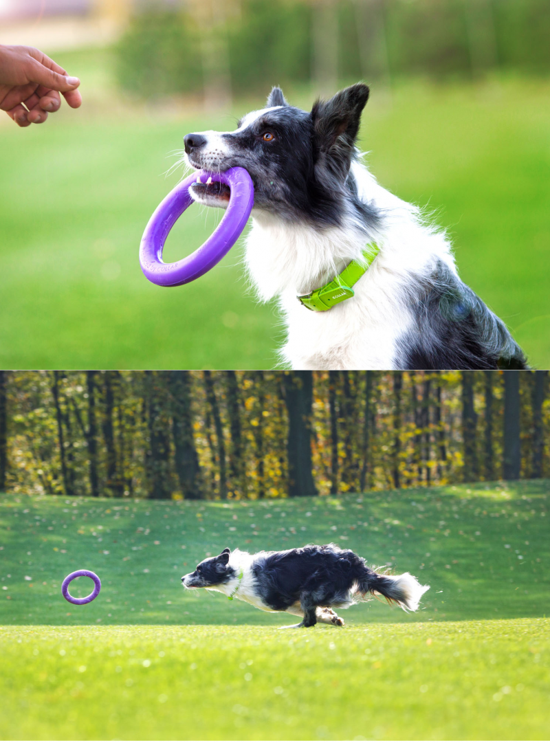 Тренировочный снаряд для собак Collar PULLER Midi, диаметр 20 см (6488) 3