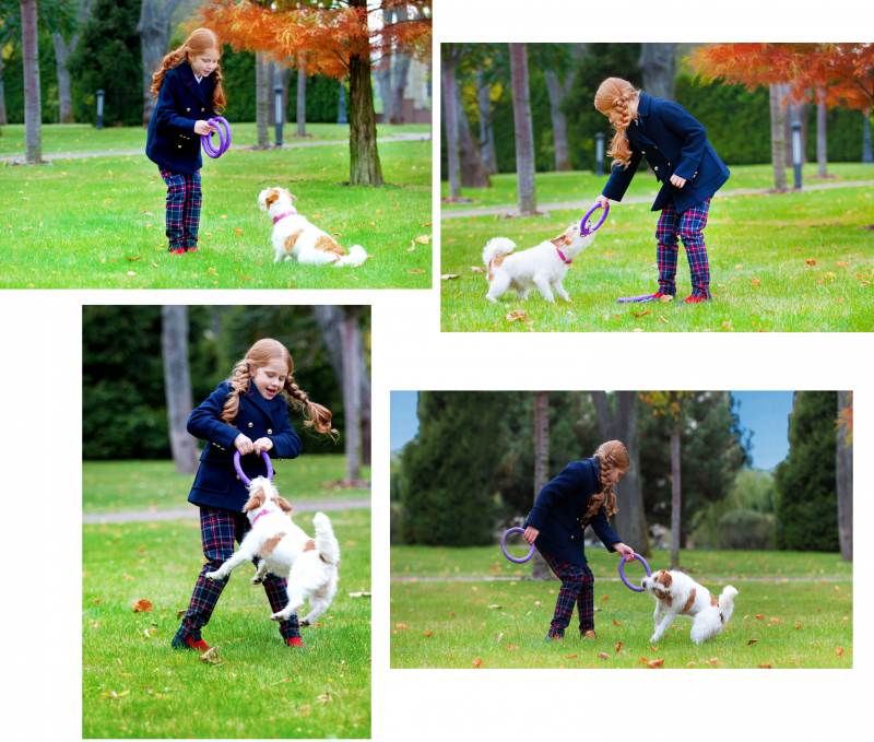 Тренувальний снаряд для собак Collar PULLER Мini, діаметр 18 см (6491) 3