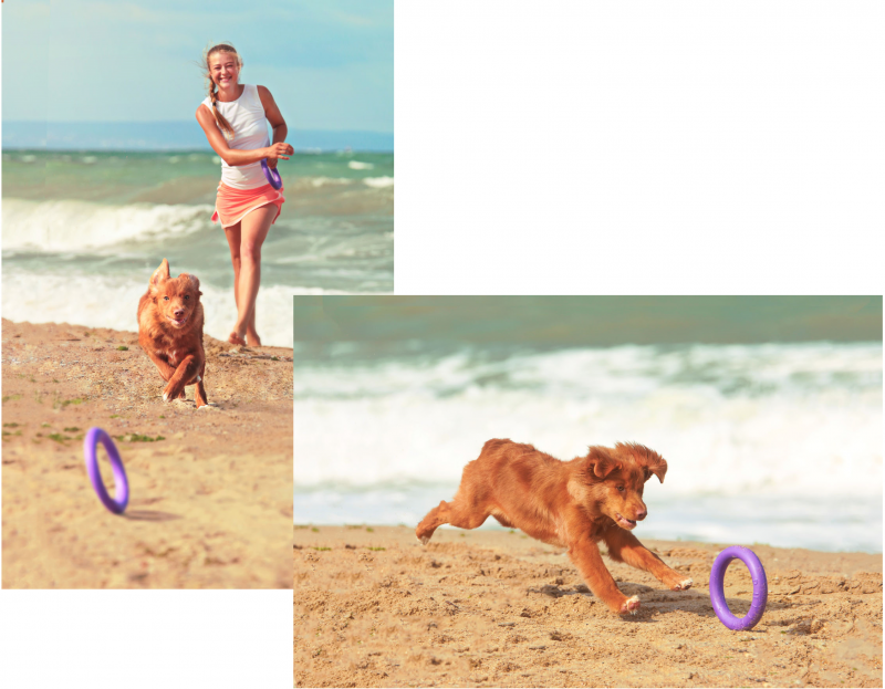 Тренувальний снаряд для собак Collar PULLER Мini, діаметр 18 см (6491) 4