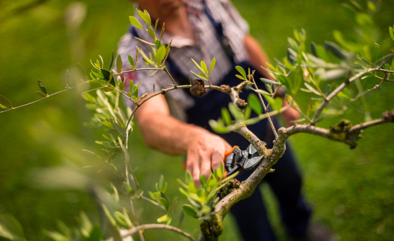 Садовий секатор Stocker Ergo Light італійський ергономічний (378) 2