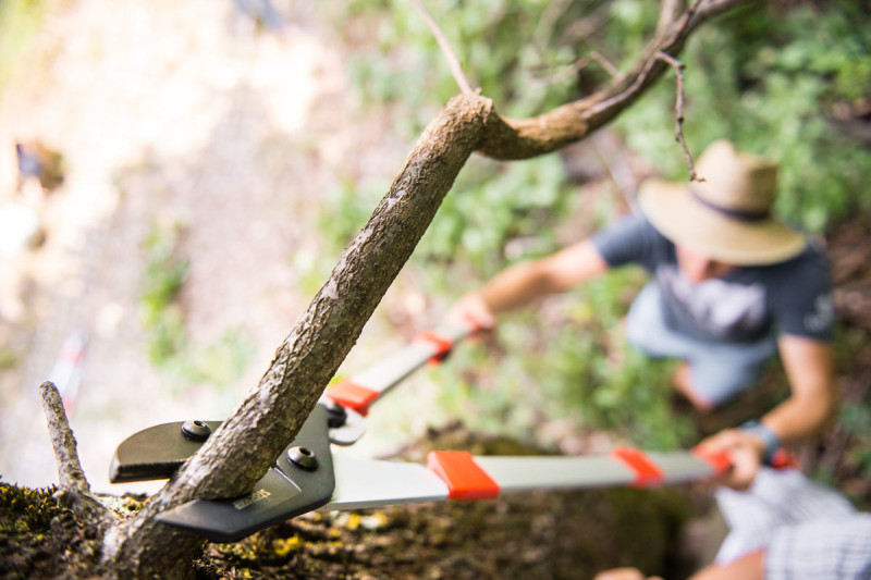 Сучкорез Stocker телескопічний з наковаленкой (2092) 2