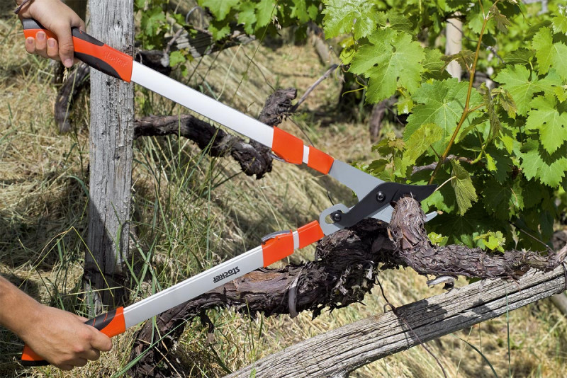 Сучкорез Stocker телескопічний обвідний (2094) 2