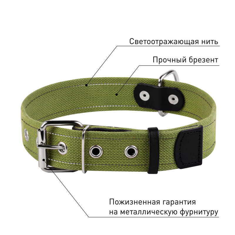 Нашийник для собак Collar з бавовняної стрічки, зелений, 25 мм/41-53 см (0240) 4