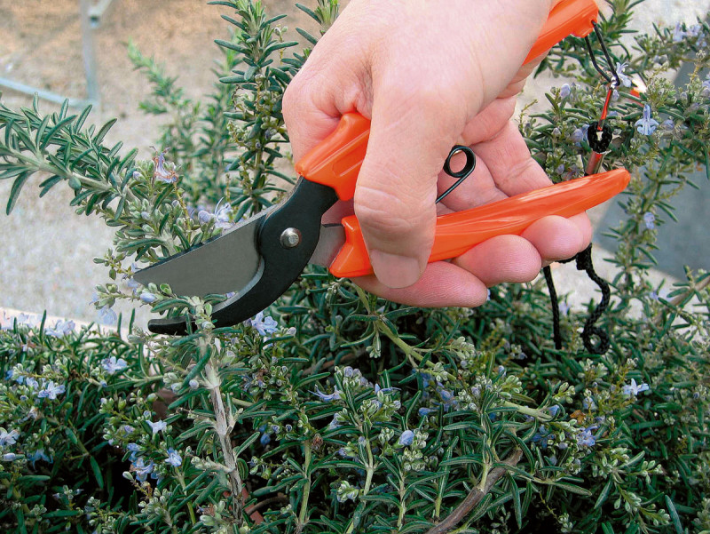 Секатор Stocker Flower 17 для цветов (358) 2