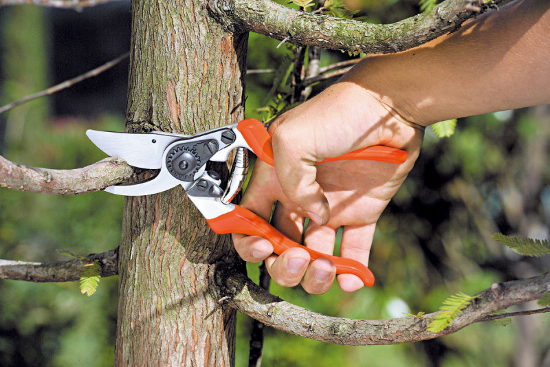 Секатор садовый Stocker Profi 22 (343) 2