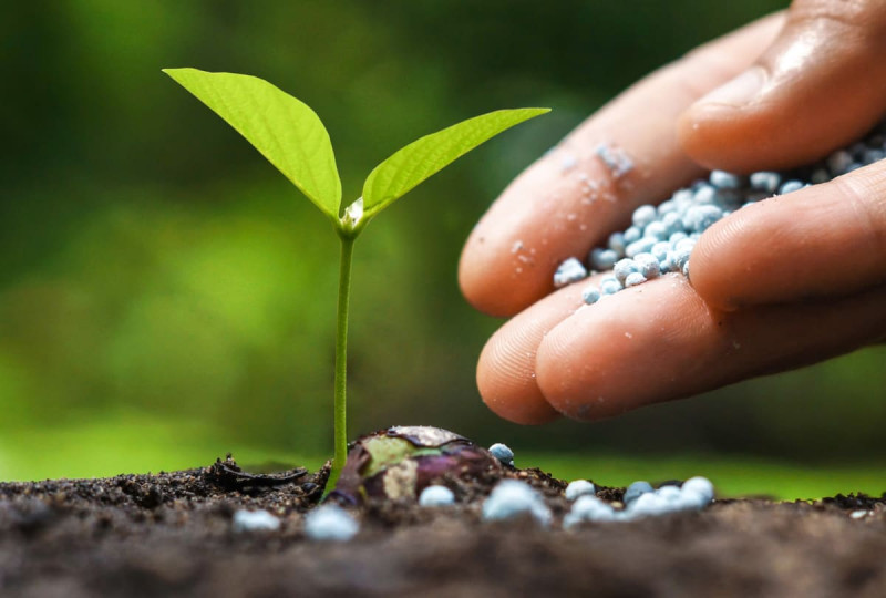 Комплексне мінеральне добриво Суперфосфат, 50 кг 2