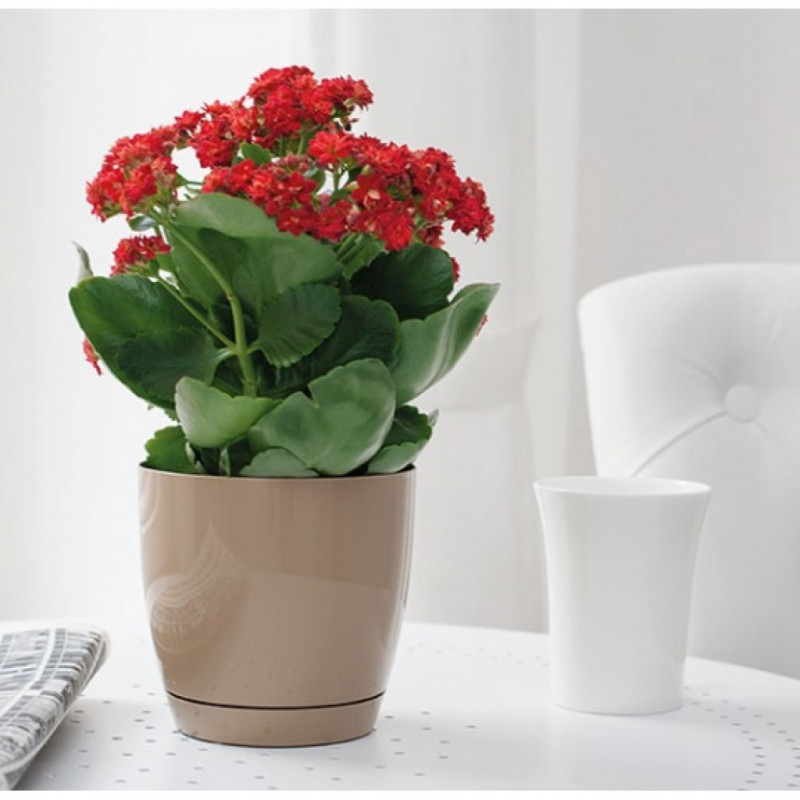 Горщик FormPlastic Тоскана Кругла-15, латте, 2.2 л (0742-002) 2