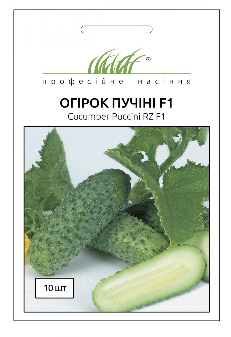 Насіння огірка Пуччіні F1, 10 шт, Rijk Zwaan, Голландія, Насіння Pro seeds 1