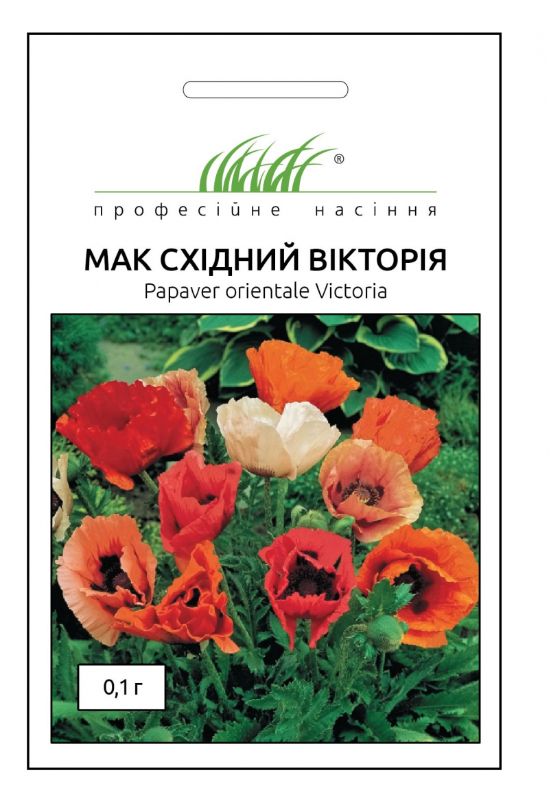 Насіння маку східного Вікторія, 0.1 г, Hem, Голландія, Професійне насіння 1