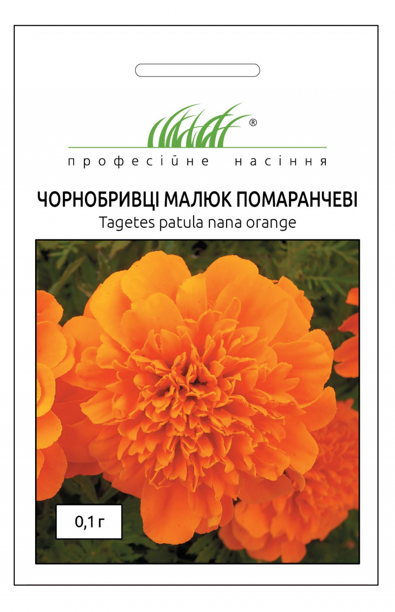 Насіння чорнобривців Малюк помаранчевий, 0.1 г, Hem, Голландія, Професійне насіння 1