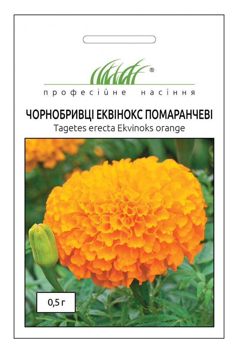 Семена бархатцев Эквинокс оранжевые, 0.1 г, Hem, Голландия, Професійне насіння 1