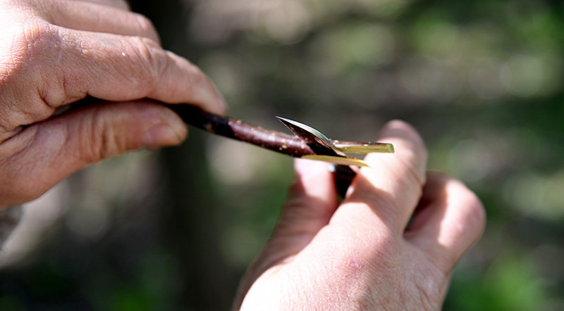 Ніж для щеплення Felco-Victorinox 3.91.40 2