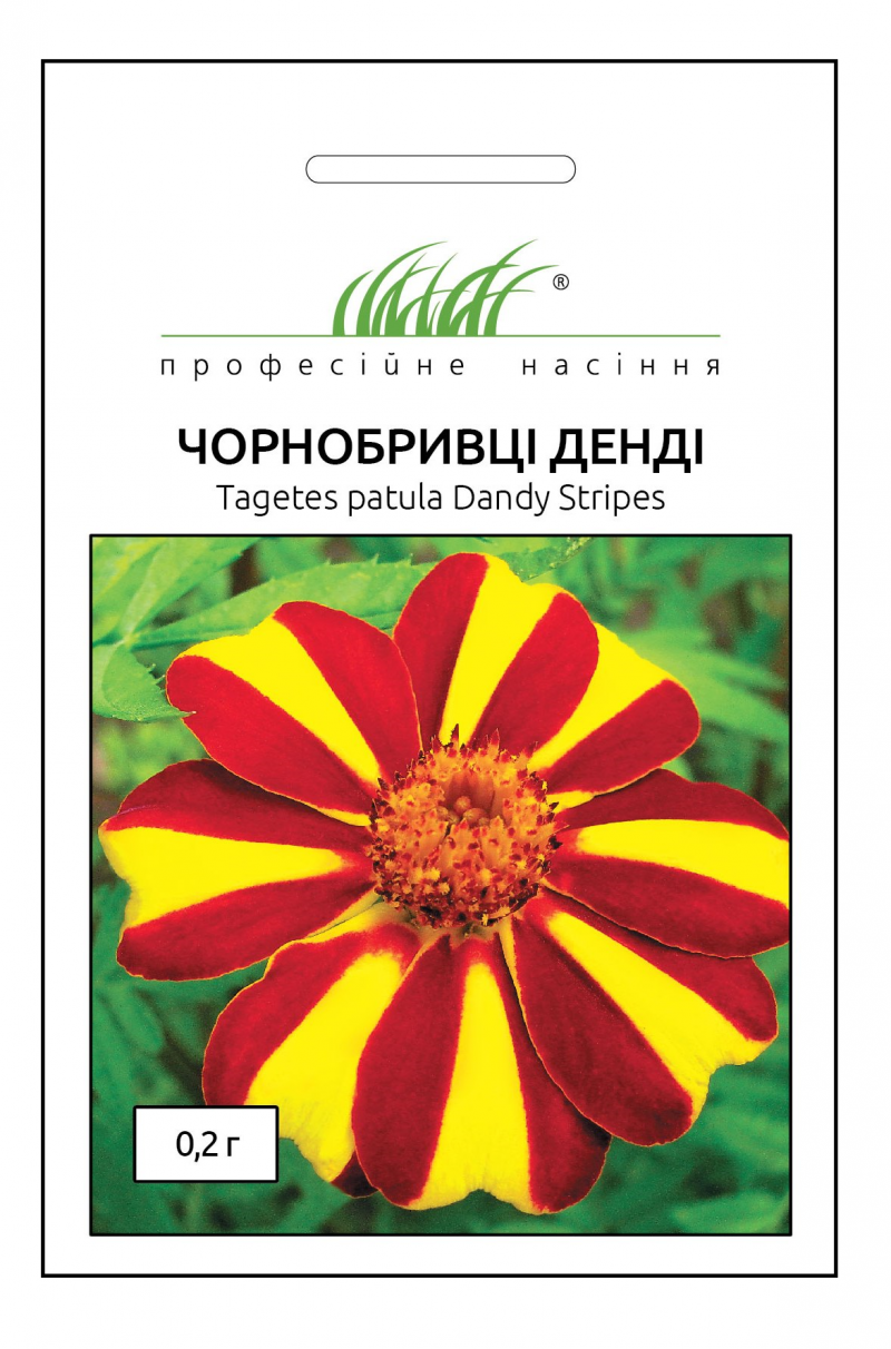 Насіння чорнобривців розлогих Денді, 0.2 г, Hem, Голландія, Професійне насіння 1