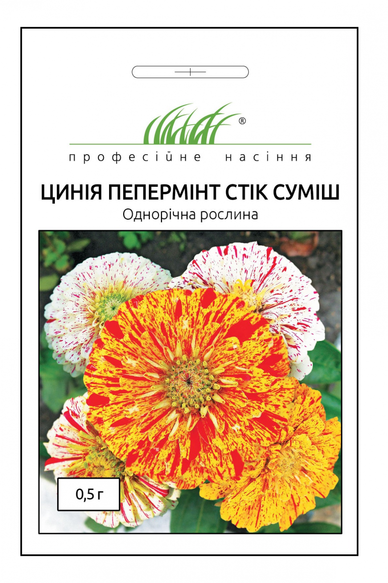 Насіння цинії Пепермінт стік суміш, 0.5 г, Hem, Голландія, Професійне насіння 1