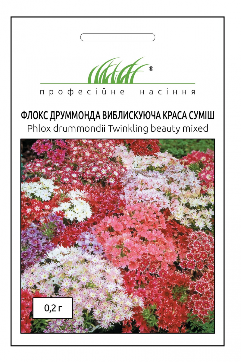 Насіння флоксу друммонду Виблискуюча краса, 0.2 г, Hem, Голландія, Професійне насіння 1