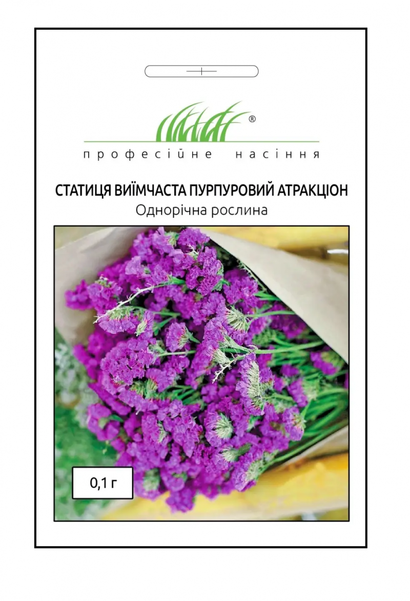 Насіння статиці виїмчатої Пурпурний атракціон, 0.1 г, Hem, Голландія, Професійне насіння 1
