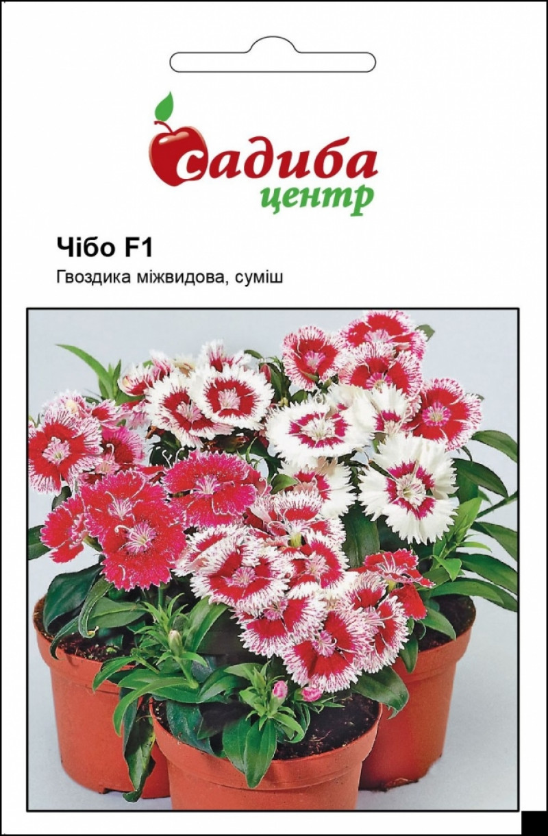 Насіння гвоздики Чібо F1 суміш, 10 гранул, Hem, Голландія, Садиба Центр 1