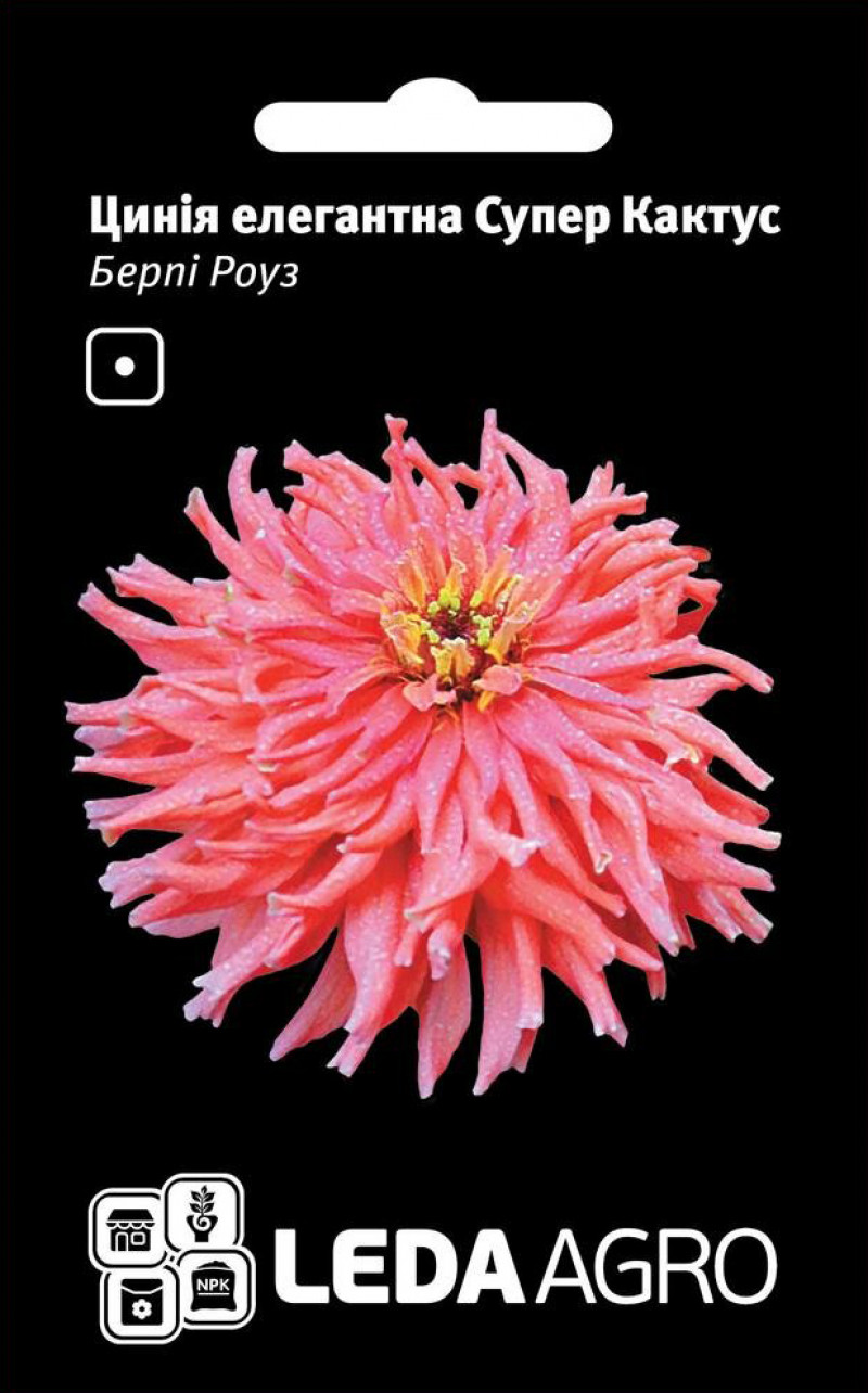 Насіння цинії елегантна, Супер Кактус, Берпі Роуз, 0.3 г, насіння Леда Агро 1
