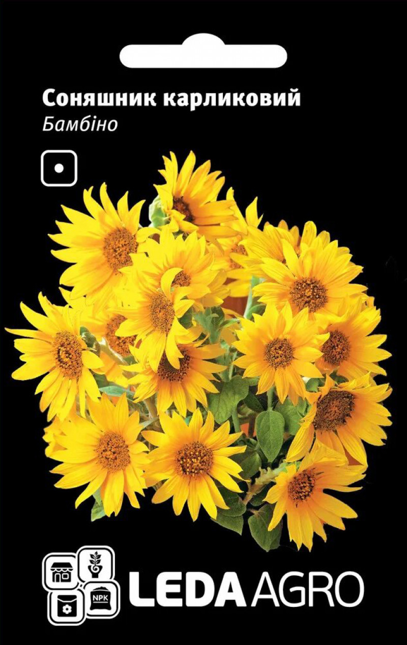 Насіння соняшнику Бамбіно, 0.5 г, Hem Zaden BV, Леда Агро 1