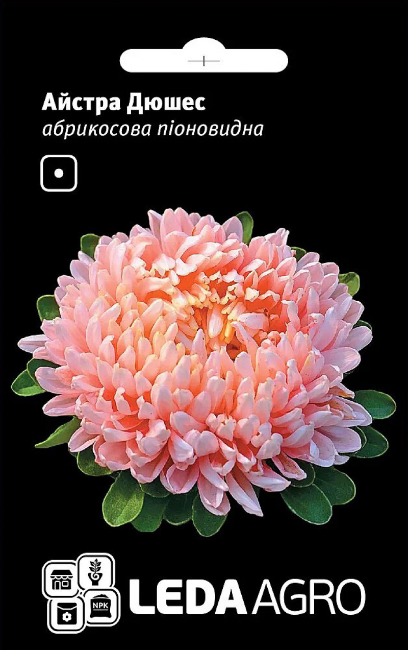 Семена астры Дюшес абрикосовая, пионовидна, 0.2 г, семена Леда Агро 1