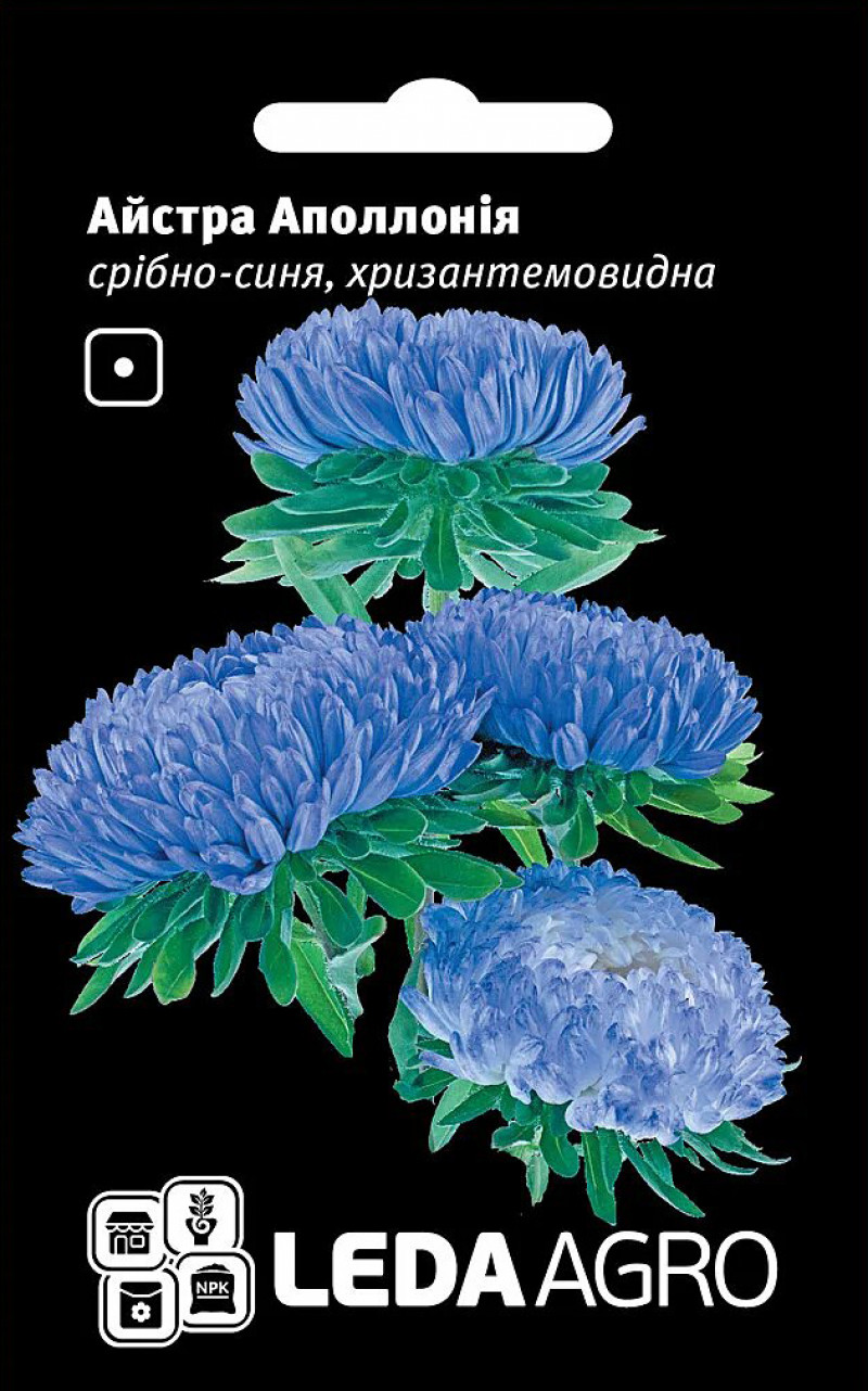 Насіння айстри Аполлонія срібно-синя, 0.2 г, Hem, Голландія, насіння Леда Агро 1